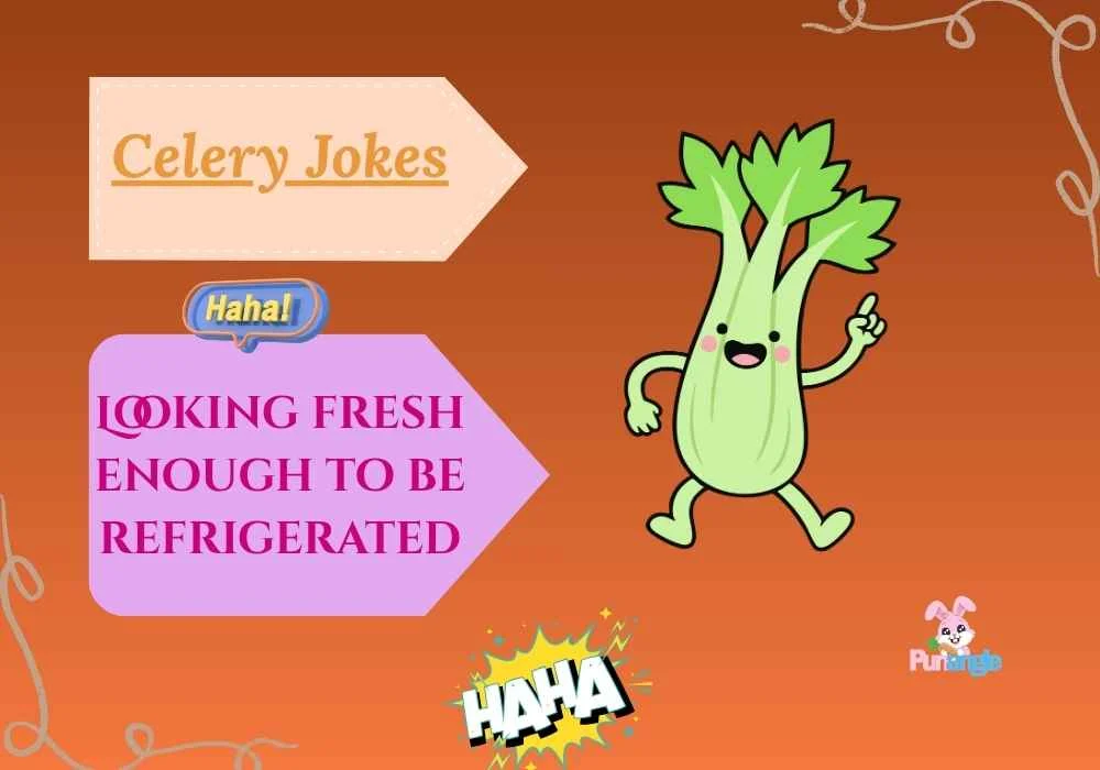 Celery Jokes