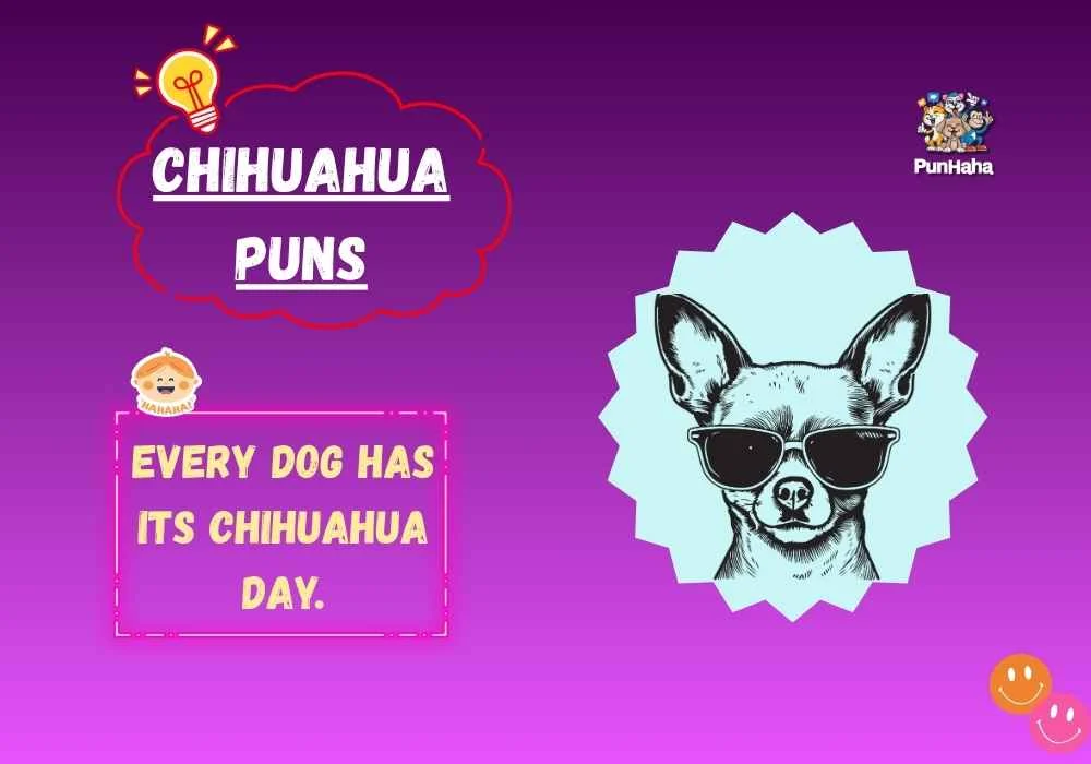 Chihuahua Puns