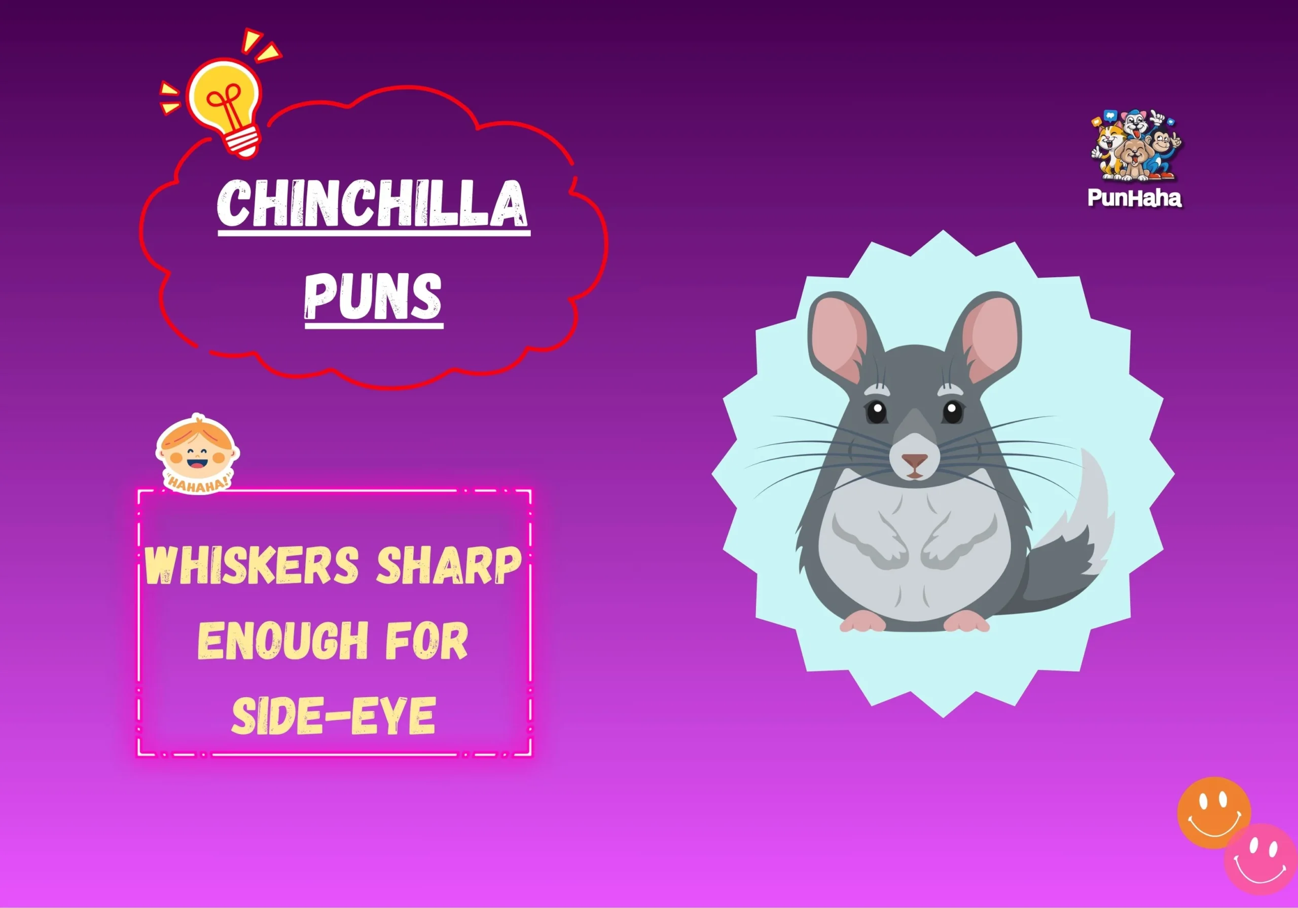 Chinchilla Puns