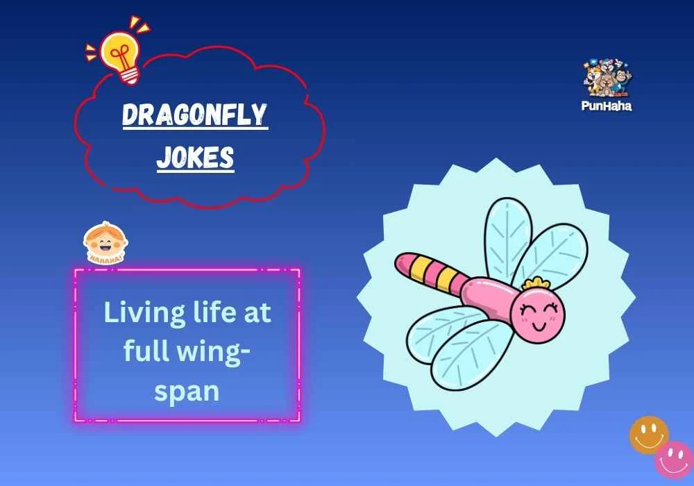 Dragonfly Jokes